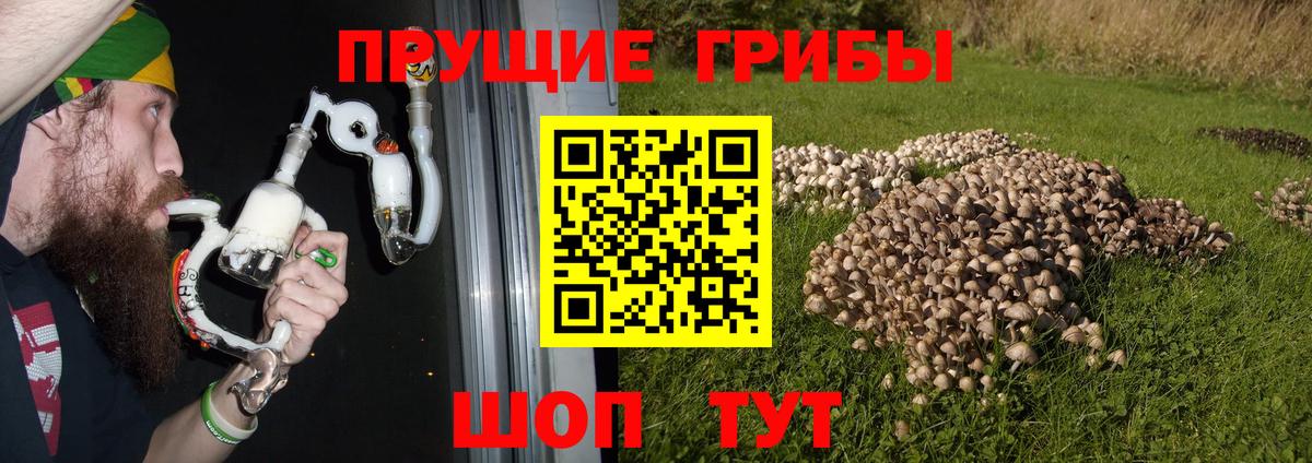 Галлюциногенные грибы Cubensis Котлас